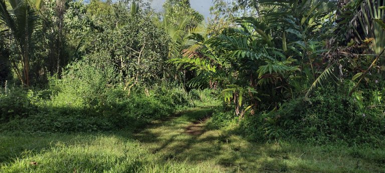 IMG_20231202_083223075_HDR.jpg