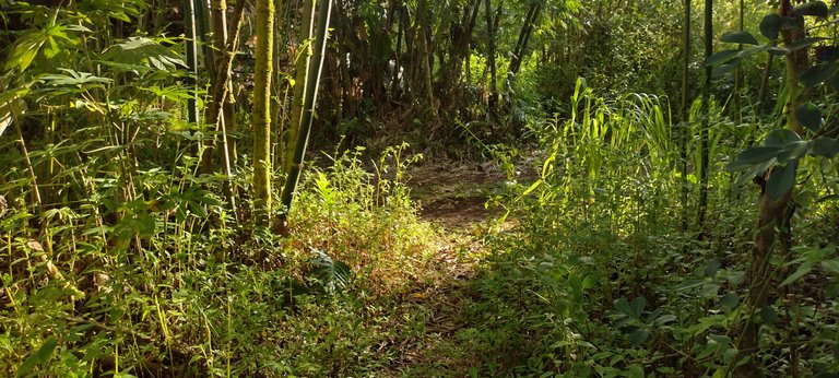 IMG_20230922_164146014_HDR.jpg