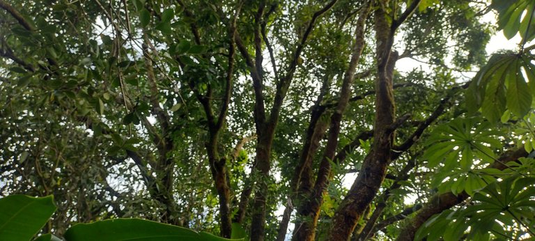 IMG_20231122_153053667_HDR.jpg
