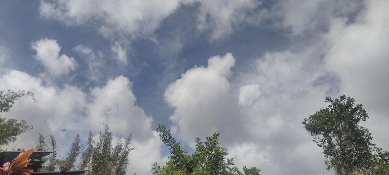 IMG_20230329_140113655_HDR.jpg