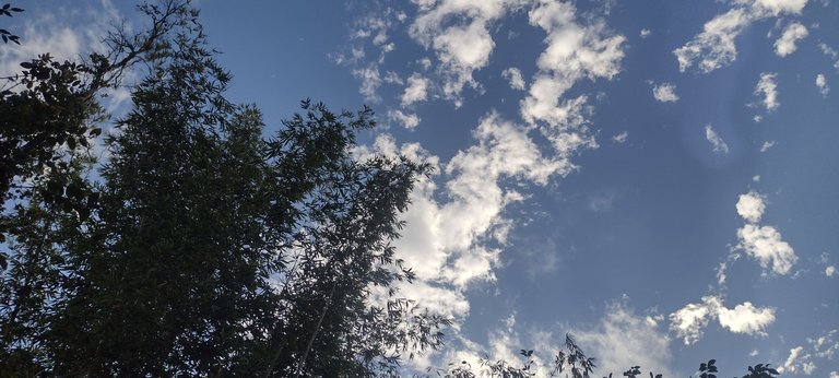 IMG_20231128_152116476_HDR.jpg