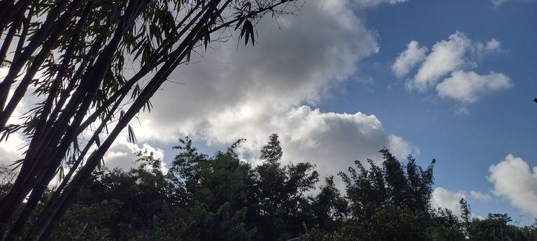 IMG_20230913_161829026_HDR.jpg