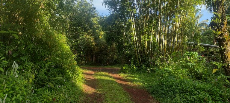 IMG_20230630_070729124_HDR.jpg