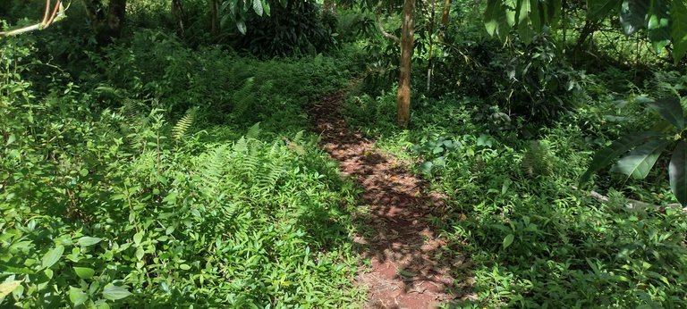 IMG_20230919_145131560_HDR.jpg