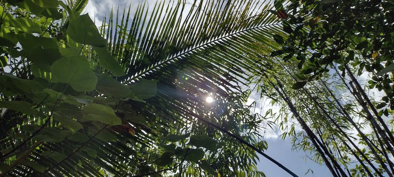 IMG_20230727_090542451_HDR.jpg