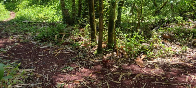IMG_20230629_115145728_HDR.jpg