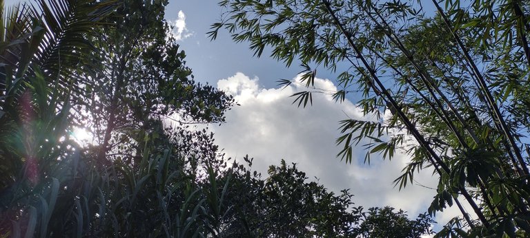IMG_20230913_162354951_HDR.jpg