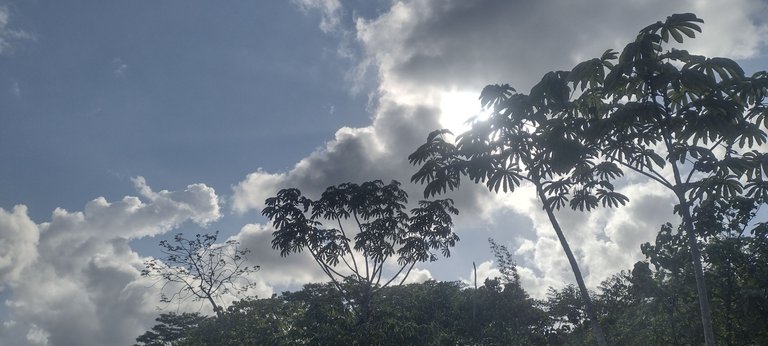 IMG_20230922_160626265_HDR.jpg