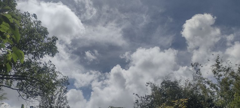 IMG_20230329_140108279_HDR.jpg