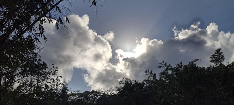 IMG_20230924_162711302_HDR.jpg
