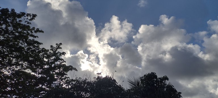 IMG_20230924_162456796_HDR.jpg