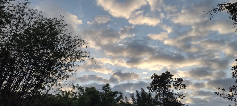 IMG_20230724_183208259_HDR.jpg
