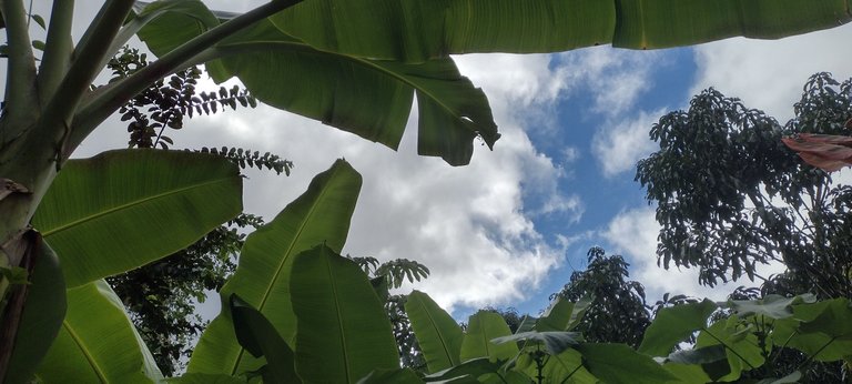 IMG_20231122_151730097_HDR.jpg