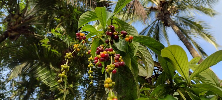 IMG_20230929_161549607_HDR.jpg