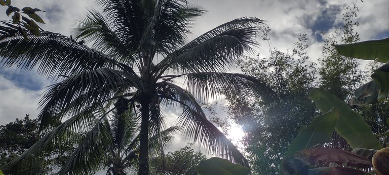 IMG_20231122_153300599_HDR.jpg