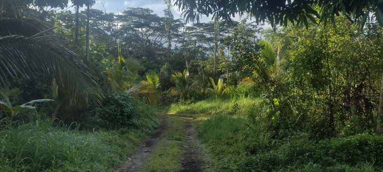 IMG_20230630_070720221_HDR.jpg