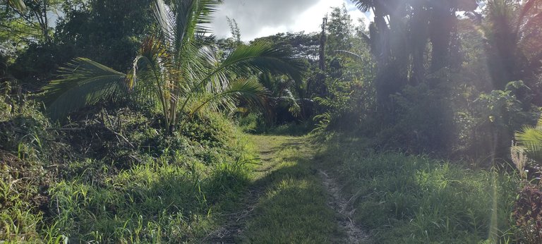 IMG_20230913_162211024_HDR.jpg