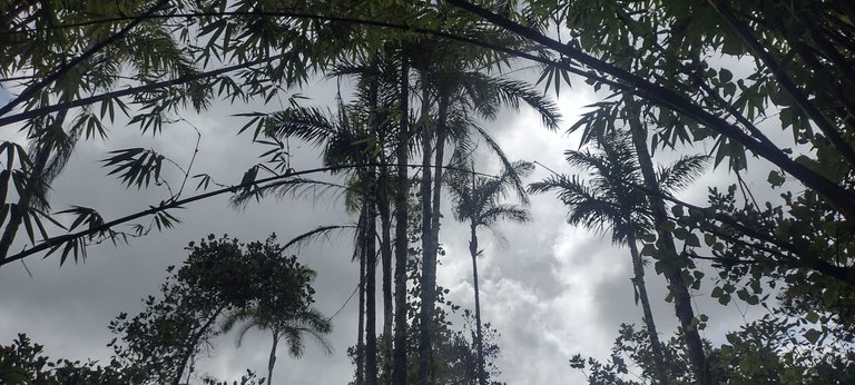 IMG_20230919_150132828_HDR.jpg