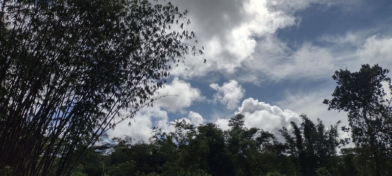 IMG_20230630_160121428_HDR.jpg