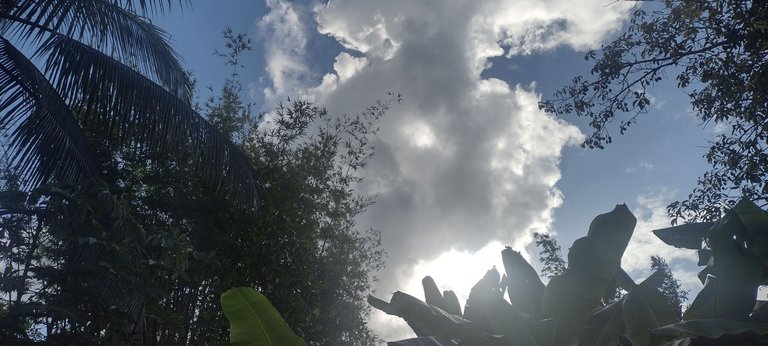 IMG_20230629_170038963_HDR.jpg