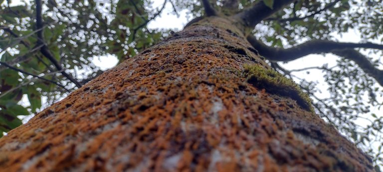 IMG_20231203_162845822_HDR.jpg