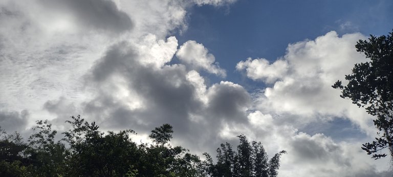IMG_20230630_171613821_HDR.jpg