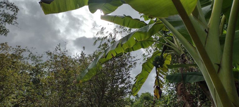 IMG_20230914_154320994_HDR.jpg