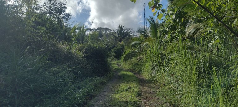 IMG_20231128_152549532_HDR.jpg