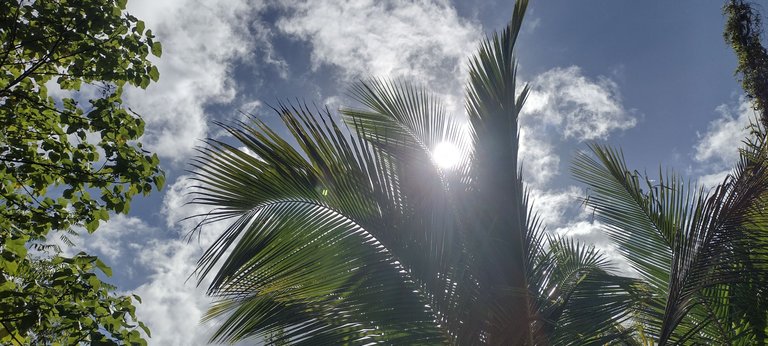 IMG_20230926_151638981_HDR.jpg