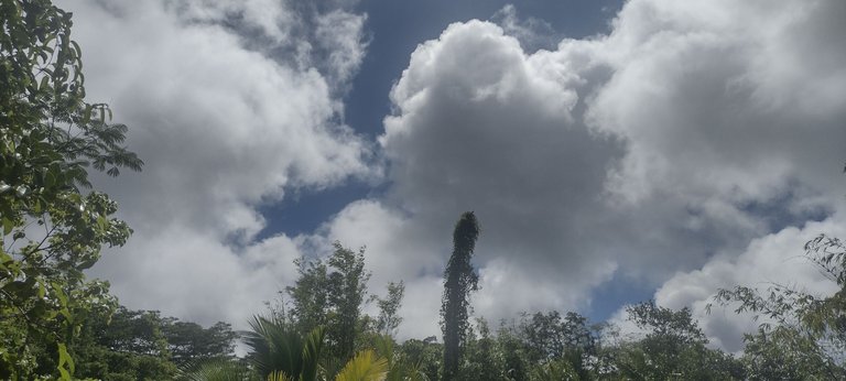 IMG_20230722_142250870_HDR.jpg