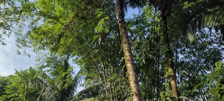 IMG_20230929_161523911_HDR.jpg