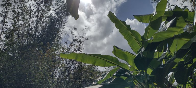 IMG_20240226_144254204_HDR.jpg