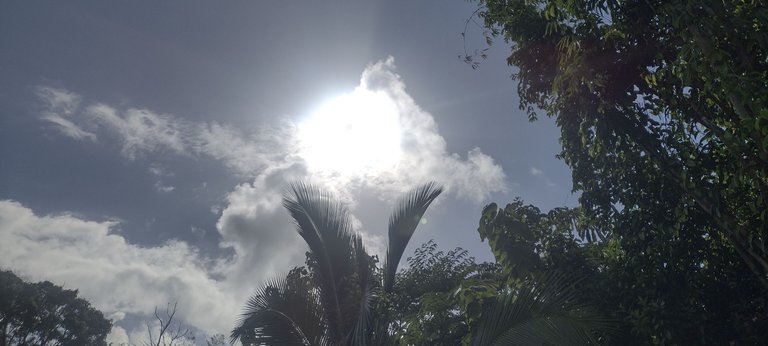 IMG_20230624_082728959_HDR.jpg