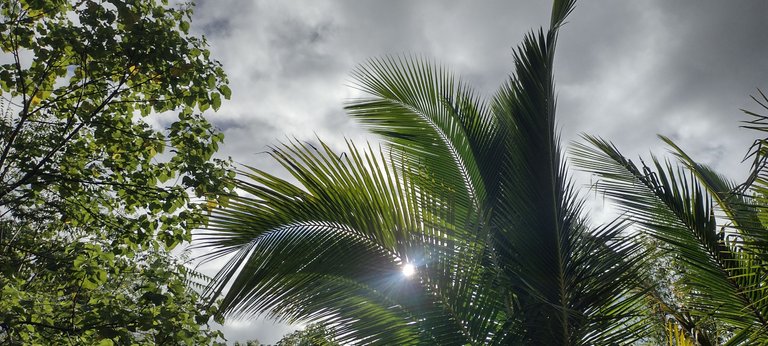 IMG_20231122_153512006_HDR.jpg