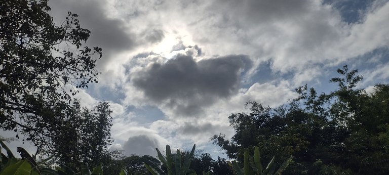 IMG_20230929_154558361_HDR.jpg