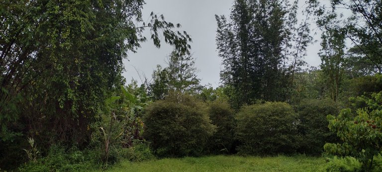 IMG_20230718_161229860_HDR.jpg