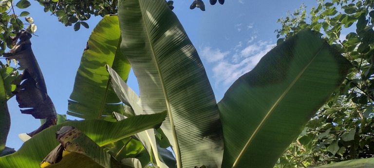 IMG_20231128_152706083_HDR.jpg