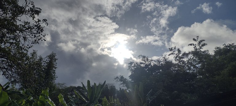 IMG_20230918_162733371_HDR.jpg