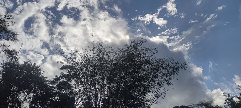IMG_20231128_152026083_HDR.jpg