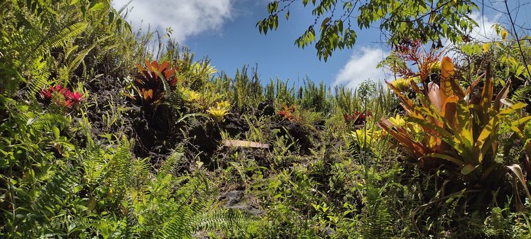 IMG_20230913_121824092_HDR.jpg