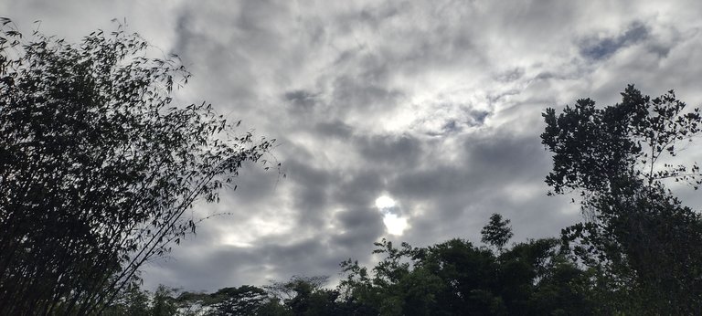 IMG_20230923_164946280_HDR.jpg