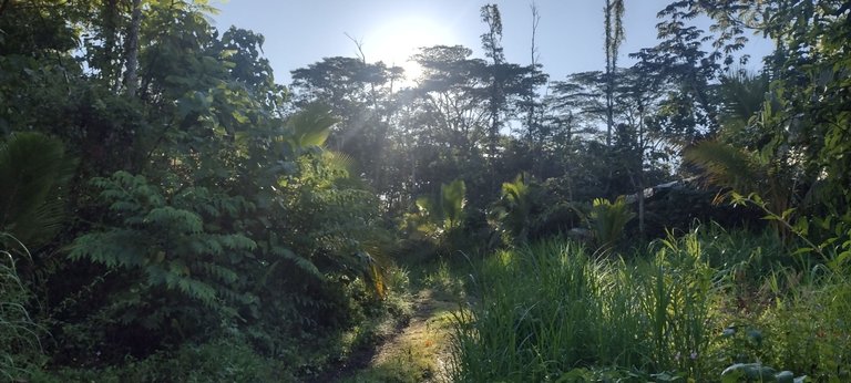 IMG_20231013_072920568_HDR.jpg