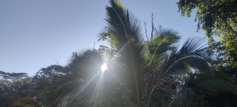 IMG_20231013_073004831_HDR.jpg