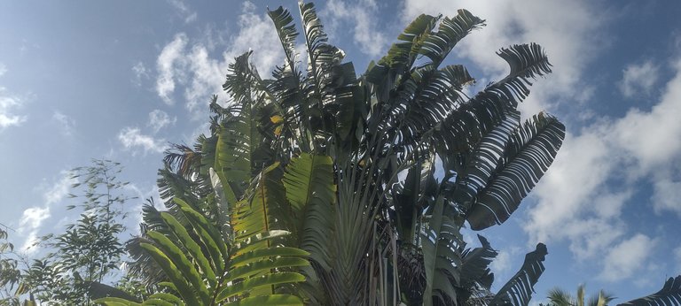 IMG_20230922_160826265_HDR.jpg