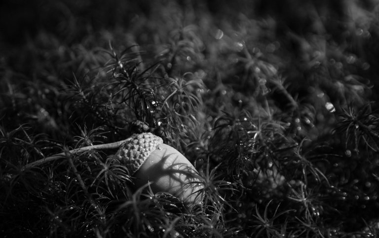 DSC_8825.jpg