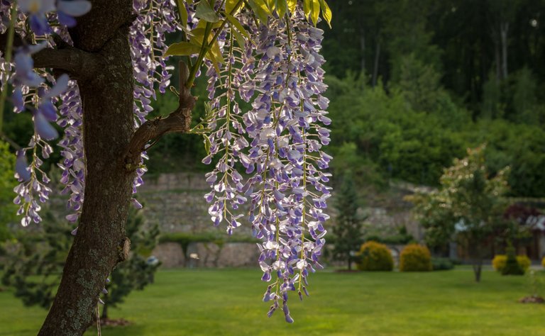 DSC_6821.jpg
