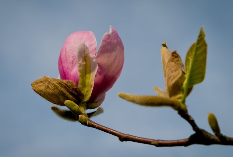 DSC_6429.jpg