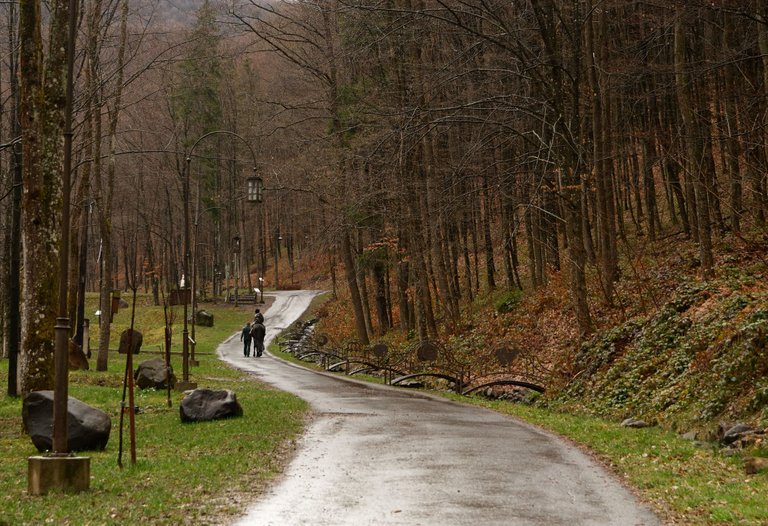 DSC_7842.jpg