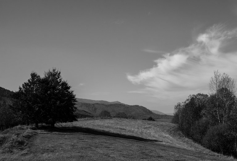 DSC_9672.jpg