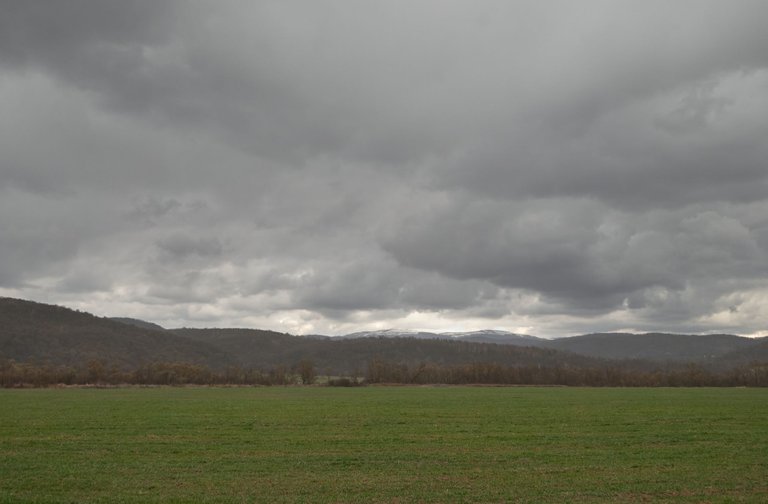 DSC_7815.jpg